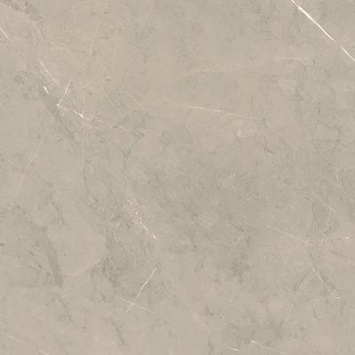 Venice Silver Unpolished 12x24 R