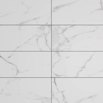 Velenca White 24x48 R Unpolished
