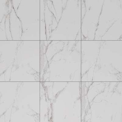 Velenca Polished 24x24 R