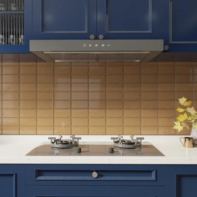 Rosalind Terra BG 3x6 Single Bullnose - Hover