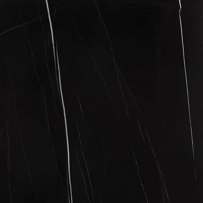 Noire Sahara Noir 24x48 R Polished