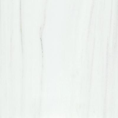 Noire Marble Aurum 24x48 R Unpolished