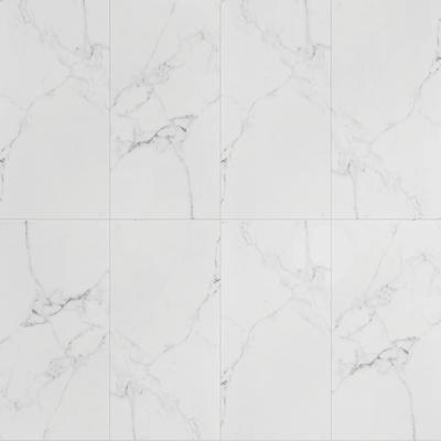 Noire Carrara 24x48 R Polished