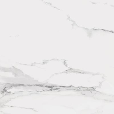 Noire Calacata Light 24x48 R Polished