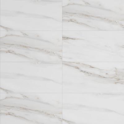 Noire Azure 24x48 R Polished