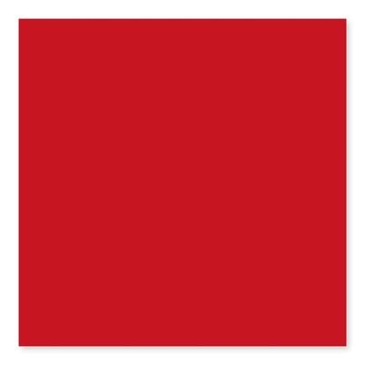 Mood BG Red Pepper 3x6 3 Single Bullnose