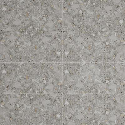 Lacuna Gray 24x48 R
