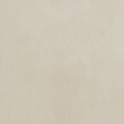 Eclat Sand Polished 24x48 R