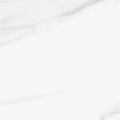 Celeste Vince White Polished 12x24 R