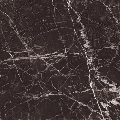 Celeste Maurice Black Polished 24x48 R - Hover