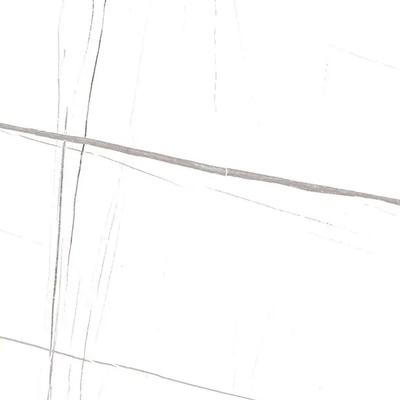 Celeste Laurent White Polished 24x48 R - Hover