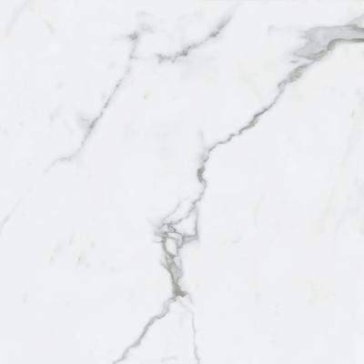 Capri Unpolished 24x24 R - Hover