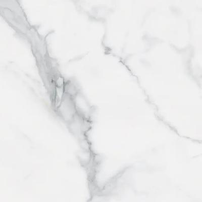 Capri Polished 12x24 R - Hover