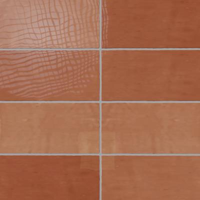Bianca Coral 2.5x5 Bullnose