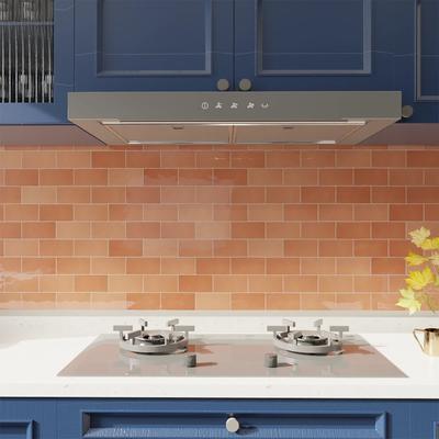 Bianca Coral 2.5x5 Bullnose - Hover