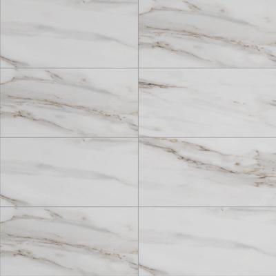 Azure Polished 24x48 R
