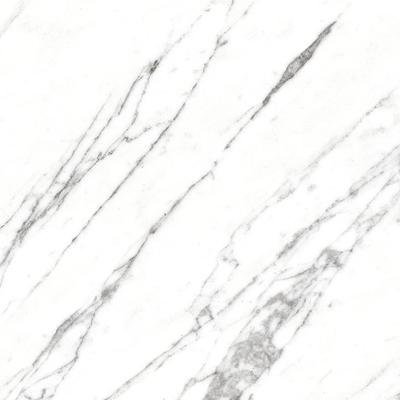 Astra 12x24 R Unpolished