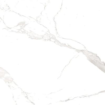 Aria White 24x48 R Polished
