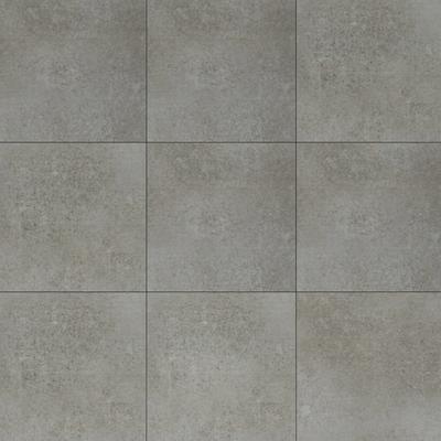 Adrielle Grafito Polished 24x24 R