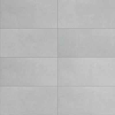 Adrielle Cinza Polished 24x48 R