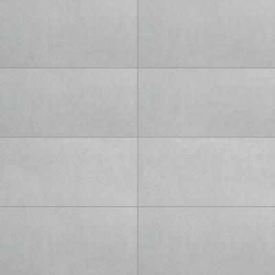 Adrielle Cinza Polished 12x24 R