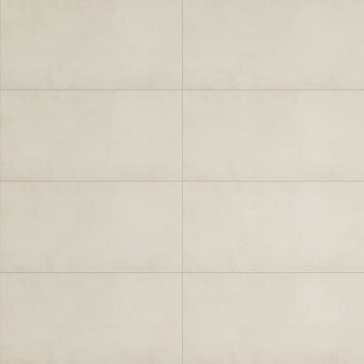 Adrielle Blanco Polished 24x48 R