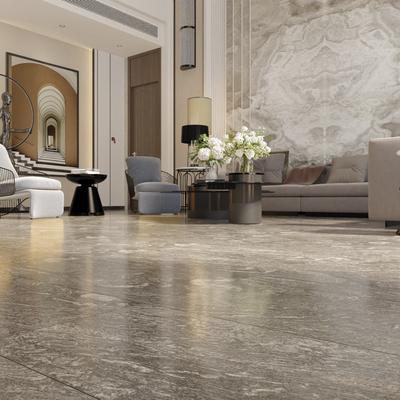 Capella Stone Silver 12x24 - Hover
