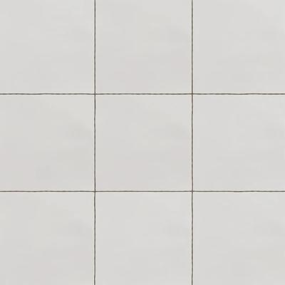Hermes Blanco Mate 6x6 Field