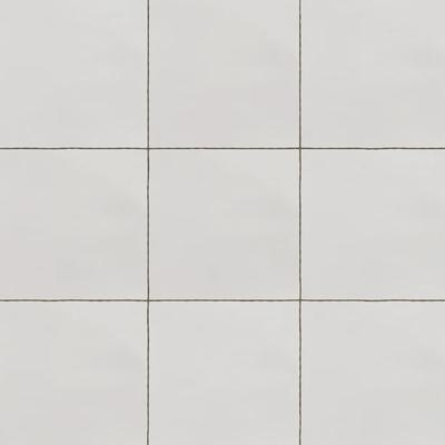 Hermes Blanco 6x6 Field