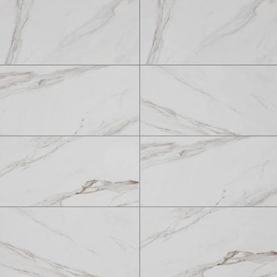 Hera Calacatta Savoy Rec 24x48 Field