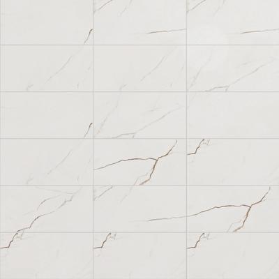Avelar White 12x24 R