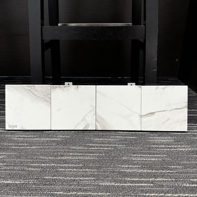 Aquabella Stone Age Calacatta 6x6 Porcelain Field Tile Pool Tile - Hover