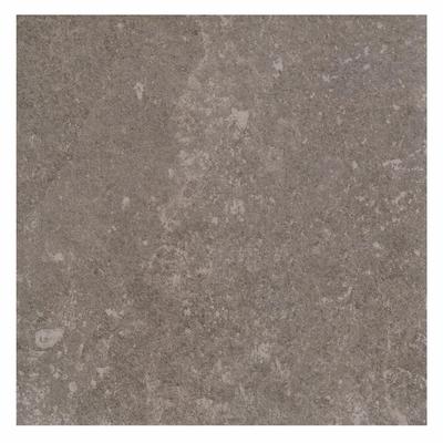 Aquabella Stone Age Flint 6x6 Porcelain Bullnose Pool Tile