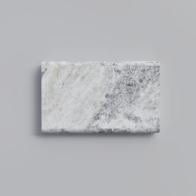 Silver Travertine 5cm Double Bullnose Pool Coping 12x24