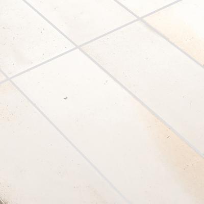 Artistry Boutique Antique White Field 3x12 - Pool Tile - Hover