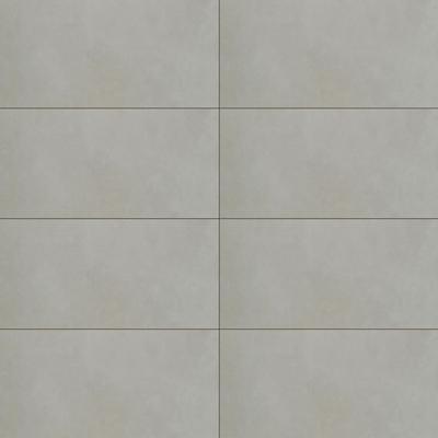 Eclat Cement Unpolished 12x24 R