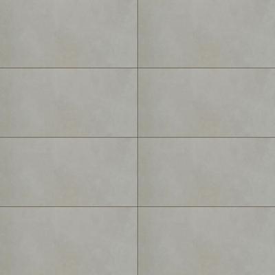 Eclat Cement Polished 24x48 R