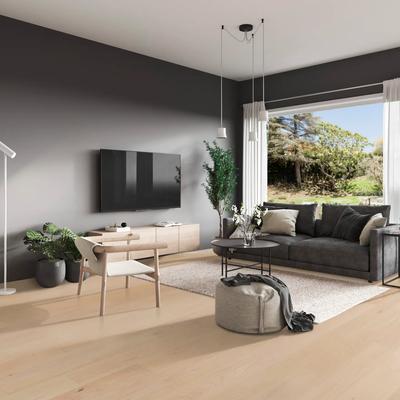 Pacifica: Southern Salt 7x48 Laminate Flooring (AC4 Wear Layer) - Hover