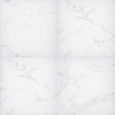 Praia Carrara 2cm Paver 24x24