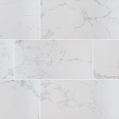 Praia Carrara Field Tile 12x24