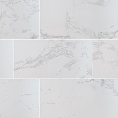Praia Carrara Field Tile 12x24 Polished