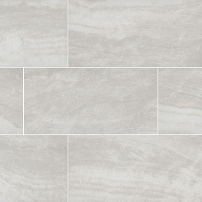Praia Grey Field Tile 12x24