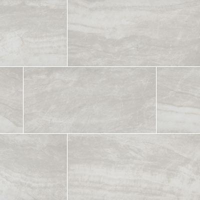 Praia Grey Field Tile 12x24 Polished