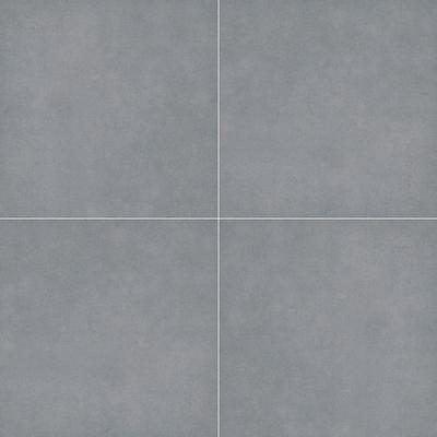 True Bluestone 2cm Paver 24x24