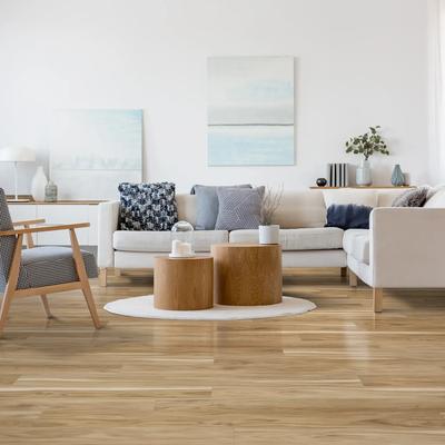 Windansea Low Tide Coastal Eucalyptus 20 mil 7x48 Field Luxury Vinyl Plank - Hover