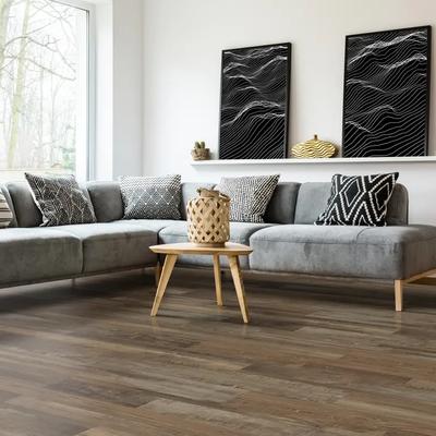 Builder’s Choice Redefined Pine 20 mil 7x48 Field Luxury Vinyl Plank - Hover