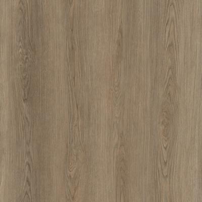 Grand Lux 5Mm Theodore 9x60