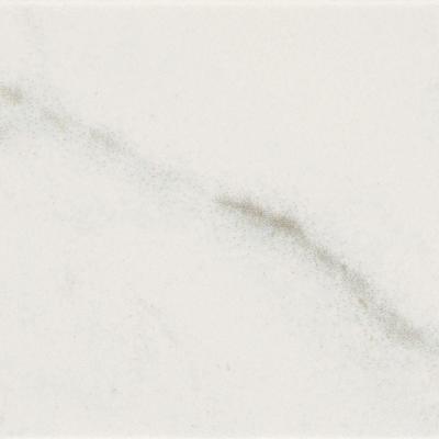 Alba Bianco Matte 2x8