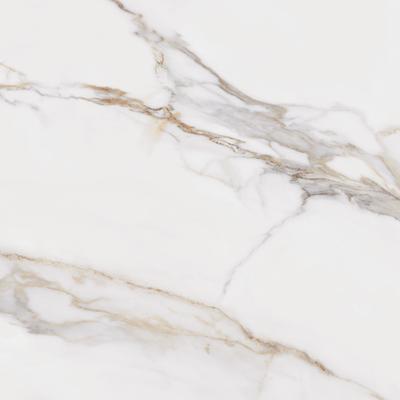 Marble Calacatta Oro Unpolished 24x48 Rectified