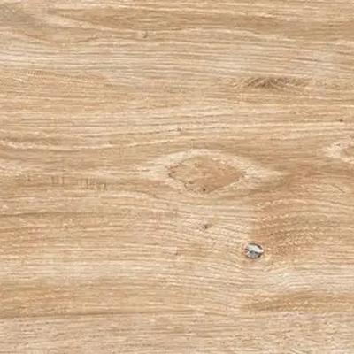 Everglade Forest 8x48 Rectified